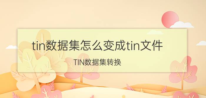 tin数据集怎么变成tin文件 TIN数据集转换